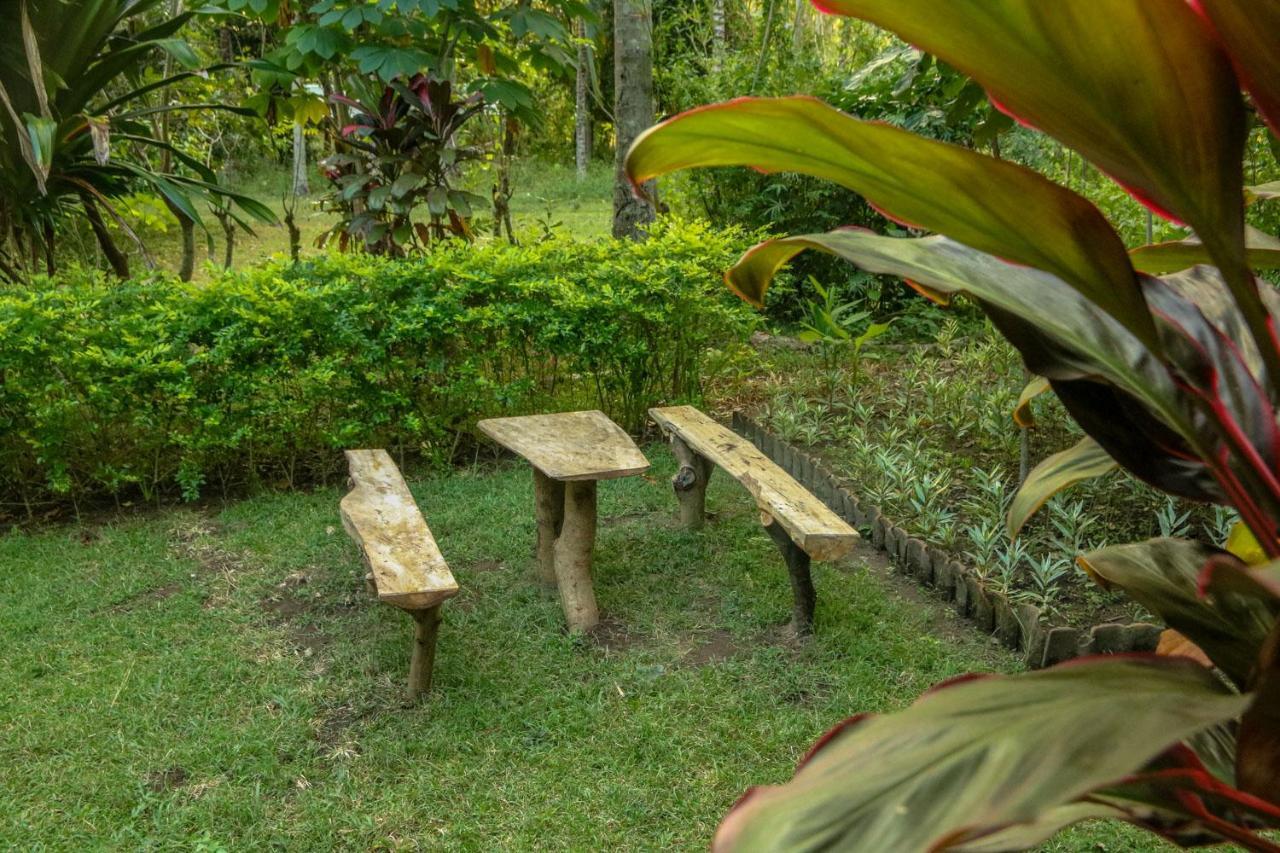 Lendang Eco Lodge سينغيغي المظهر الخارجي الصورة