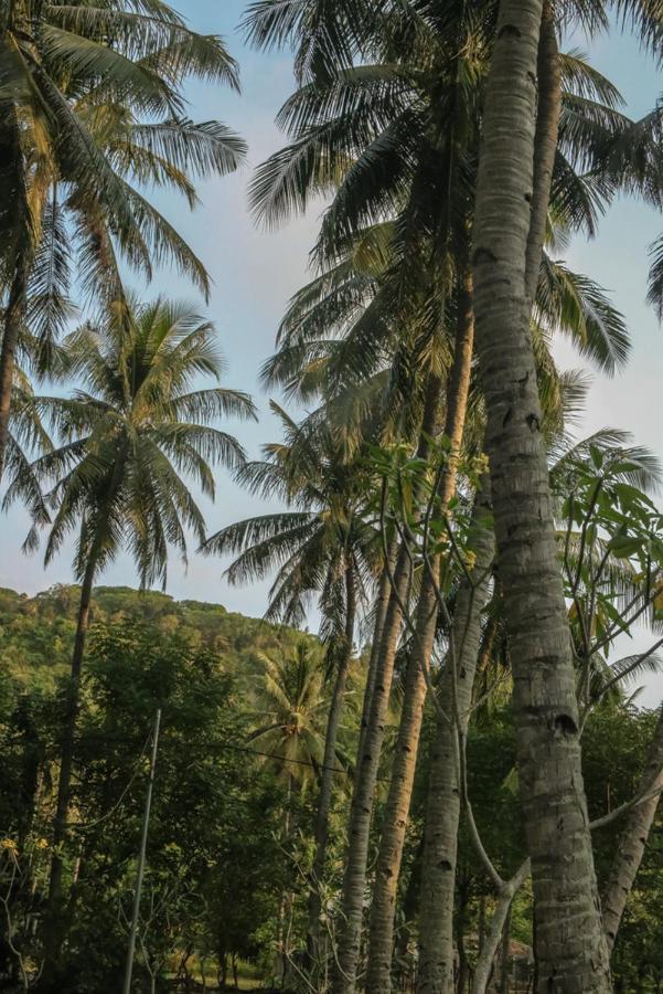 Lendang Eco Lodge سينغيغي المظهر الخارجي الصورة