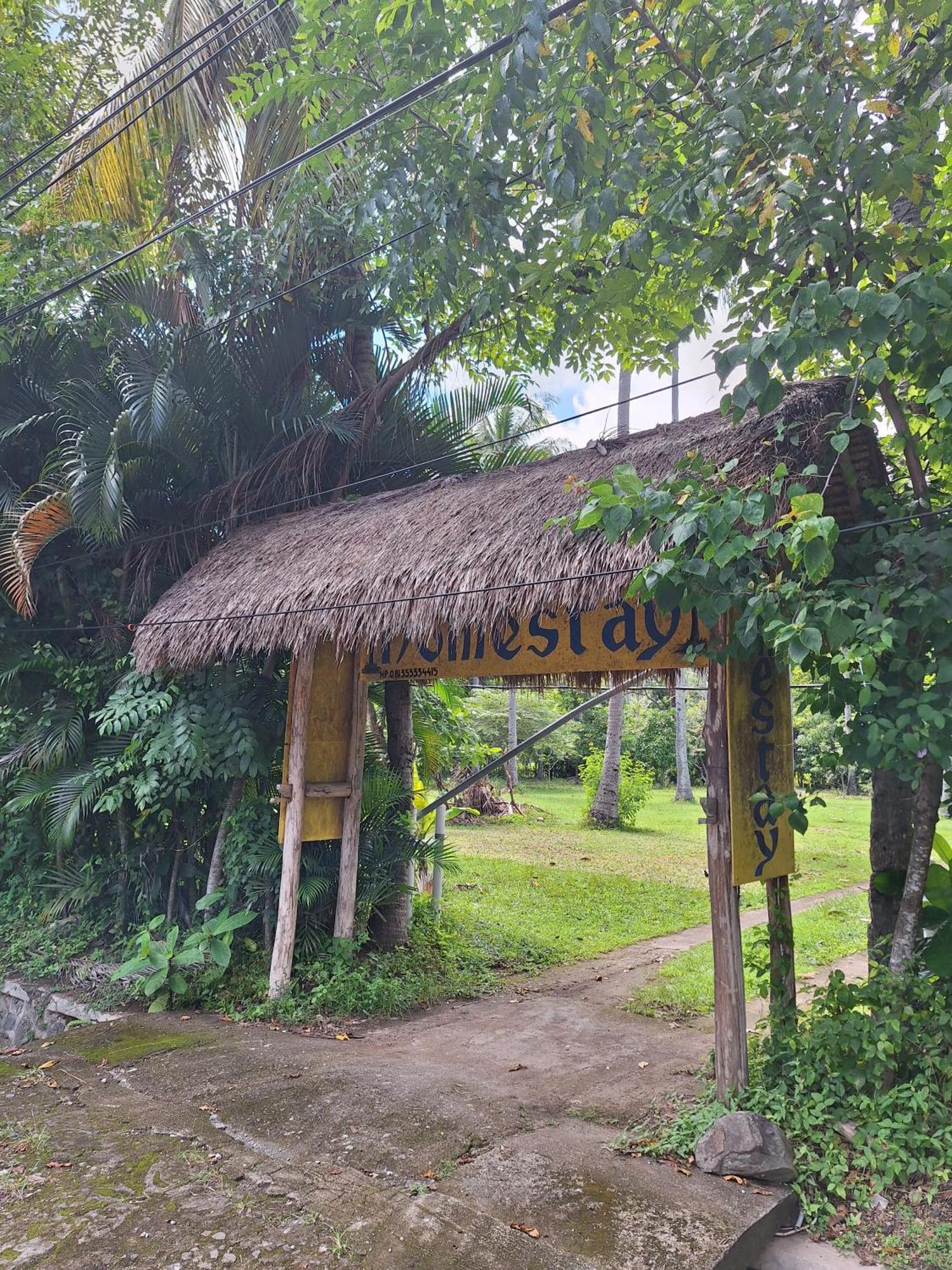 Lendang Eco Lodge سينغيغي المظهر الخارجي الصورة